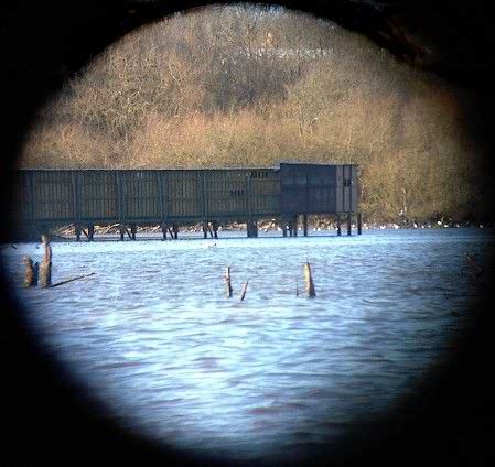 The Bird Hide through 8x30 binoculars
